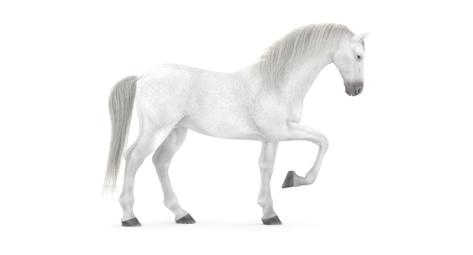 white horse rigged 3D model https://p.turbosquid.com/ts-thumb/Vg/H9sRZv/318rZC0k/horse3dmodelfur06/jpg/1559813029/1920x1080/fit_q87/2d958a1d9bc1610080f64cbc50d1d898818e290f/horse3dmodelfur06.jpg