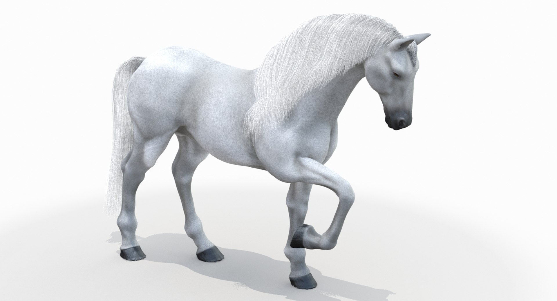 white horse rigged 3D model https://p.turbosquid.com/ts-thumb/Vg/H9sRZv/LIbehLIB/horse3dmodelfur01mentalray/jpg/1560789267/1920x1080/fit_q87/9c1ae9094b53071ae0133a5c6e5010195da3ce4a/horse3dmodelfur01mentalray.jpg