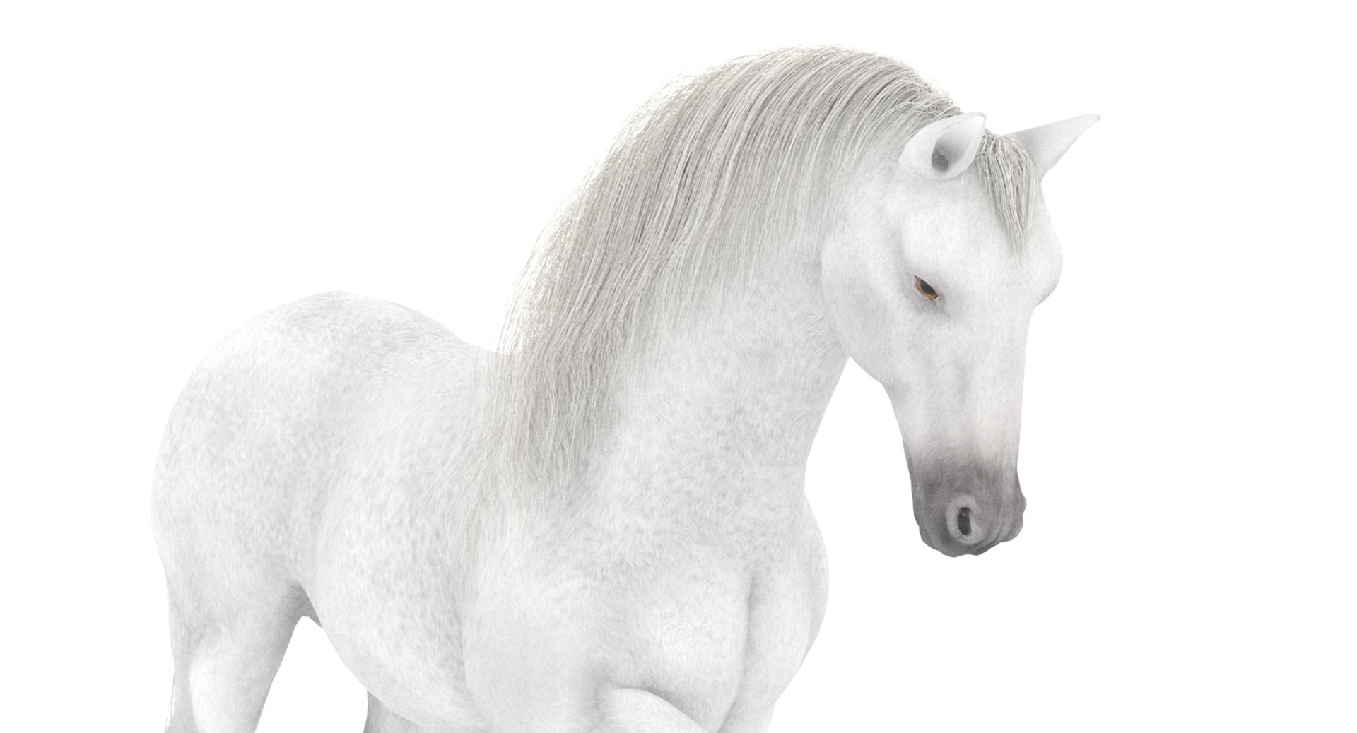 white horse rigged 3D model https://p.turbosquid.com/ts-thumb/Vg/H9sRZv/orBoHlzQ/horse3dmodelfur07/jpg/1559813029/1920x1080/fit_q87/dcfbcbfb212c241171ce0c1a0755f485ccb3948a/horse3dmodelfur07.jpg