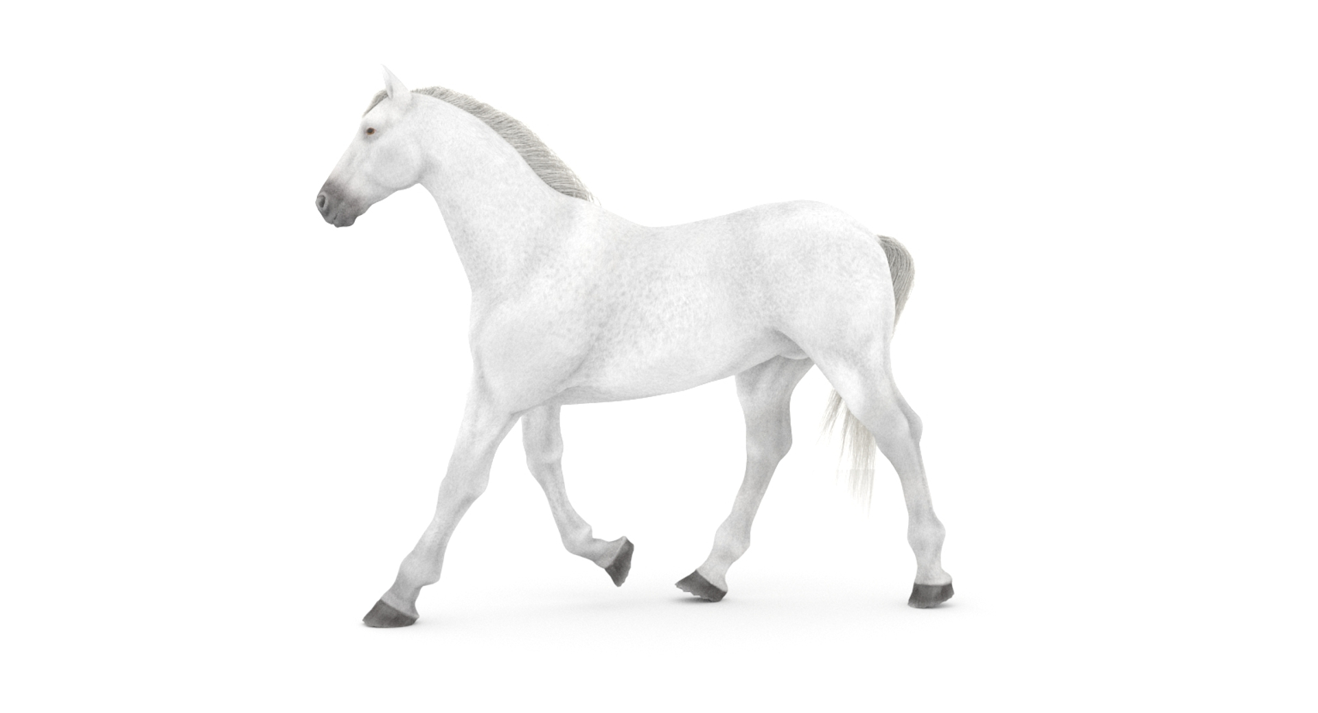 white horse rigged 3D model https://p.turbosquid.com/ts-thumb/Vg/H9sRZv/pXfljgPj/rigged_white_horse_3d_model_360/jpg/1559813041/1920x1080/turn_fit_q99/8ee6698245aa55cdf5632e08ce6ce9fe06e4d9f3/rigged_white_horse_3d_model_360-1.jpg