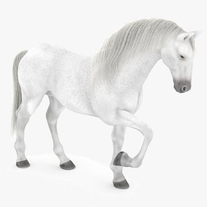 white horse rigged 3D model