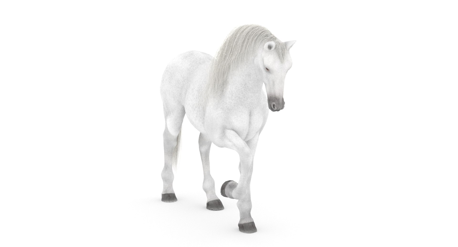 white horse rigged 3D model https://p.turbosquid.com/ts-thumb/Vg/H9sRZv/wtauLsJ9/horse3dmodelfur01/jpg/1559813029/1920x1080/fit_q87/70689e3e2b7969c9c2719e44c309376d2f2273c7/horse3dmodelfur01.jpg
