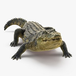 crocodile eating animal rigged 3D model