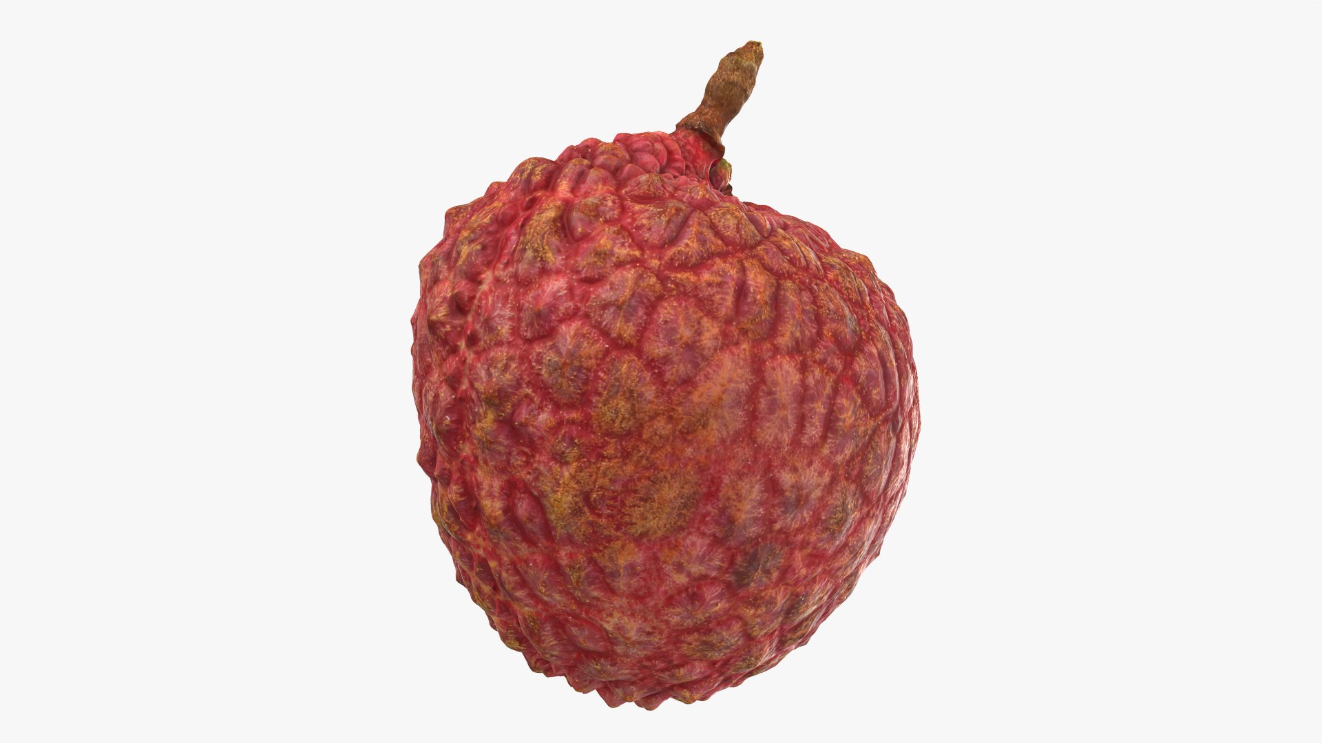 Lychee 01 3D model https://p.turbosquid.com/ts-thumb/Vg/MsmZ03/0R/lychee01_0006/png/1759478610/1920x1080/fit_q87/4b8636b426f714506a72b47dc495ed4c88008b3e/lychee01_0006.jpg