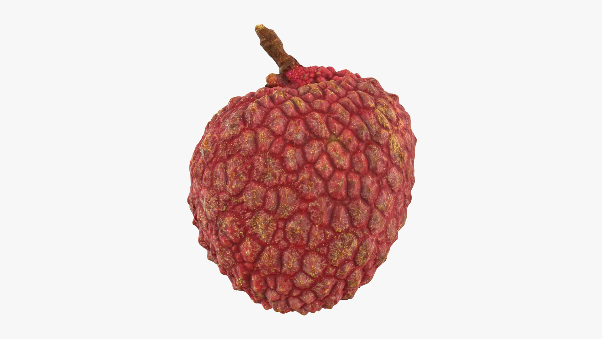 Lychee 01 3D model https://p.turbosquid.com/ts-thumb/Vg/MsmZ03/7w/lychee01/png/1759478636/1920x1080/turn_fit_q99/6e9e5cc9bc8a0fc865871dd6af270ef9085f4e16/lychee01-1.jpg