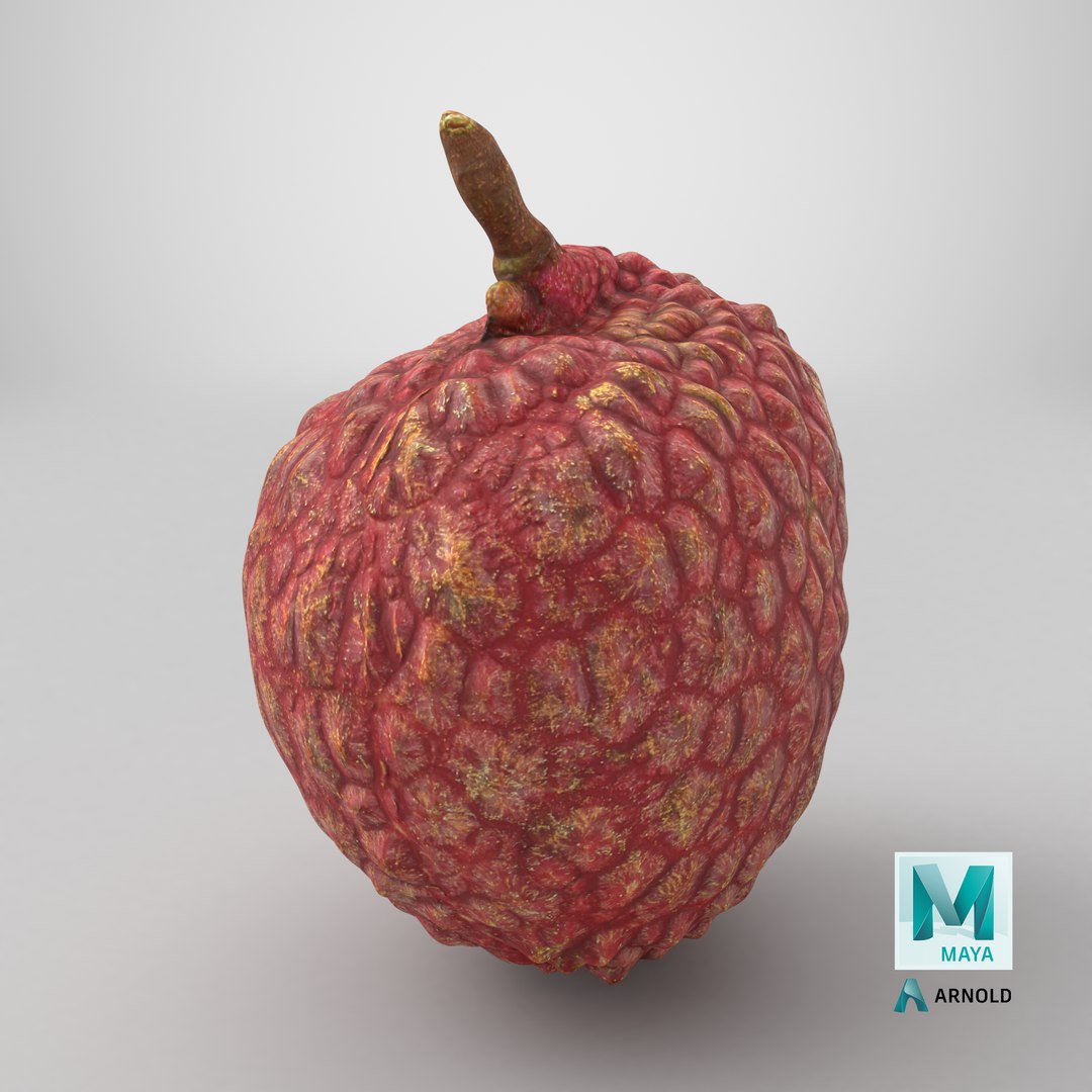 Lychee 01 3D model https://p.turbosquid.com/ts-thumb/Vg/MsmZ03/8q/stemcell_maya_arnold_render/png/1760677238/1920x1080/fit_q87/94b4f35d152b3e1442fafa9c082d9ccb8d0a6bca/stemcell_maya_arnold_render.jpg