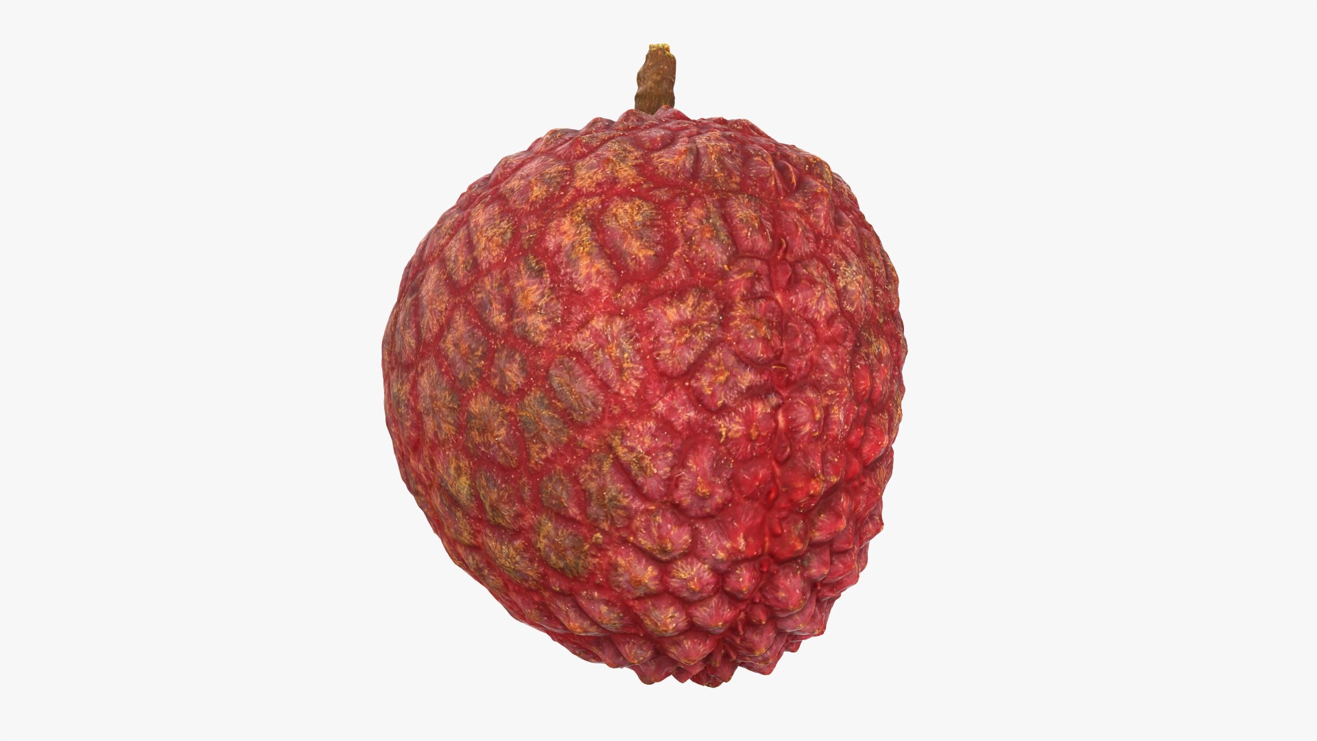 Lychee 01 3D model https://p.turbosquid.com/ts-thumb/Vg/MsmZ03/Jp/lychee01_0008/png/1759478617/1920x1080/fit_q87/69b272554aab674b496e5cc273feb580b380adde/lychee01_0008.jpg