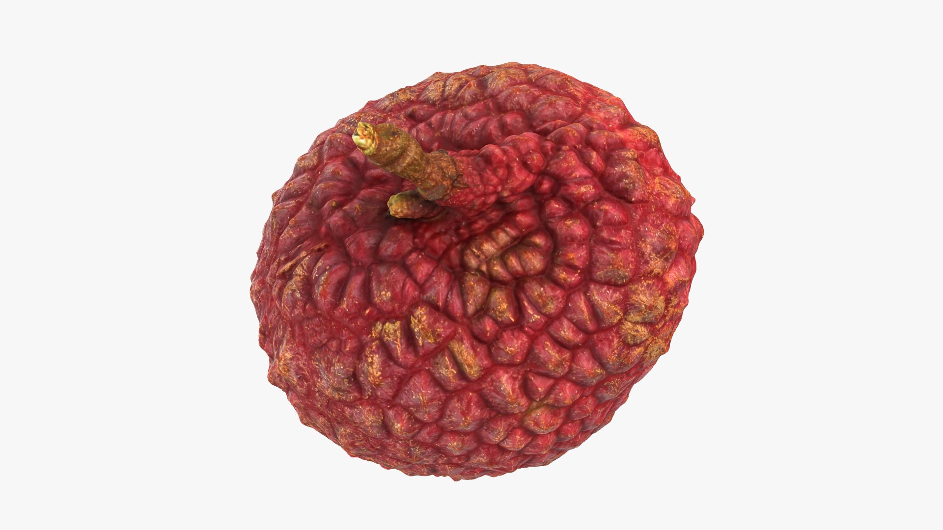 Lychee 01 3D model https://p.turbosquid.com/ts-thumb/Vg/MsmZ03/Km/lychee01_0010/png/1759478618/1920x1080/fit_q87/30bdb1d413a352bf8a4bbb253a2fdc2a2943e119/lychee01_0010.jpg