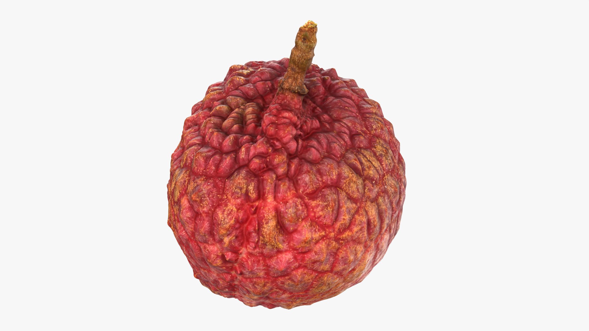 Lychee 01 3D model https://p.turbosquid.com/ts-thumb/Vg/MsmZ03/Mi/lychee01_0009/png/1759478619/1920x1080/fit_q87/929484db0b2c7e62c10cf2de30c9c0c420b83611/lychee01_0009.jpg