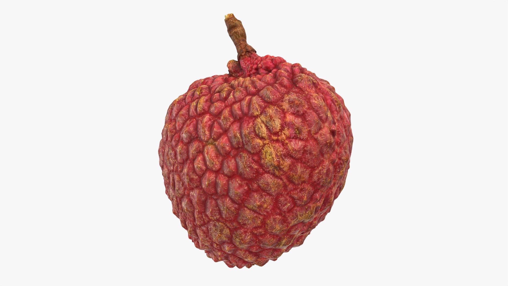 Lychee 01 3D model https://p.turbosquid.com/ts-thumb/Vg/MsmZ03/Rv/lychee01_0002/png/1759478604/1920x1080/fit_q87/87813596a05a7a2a2f9967d8b5d94bd3563932d2/lychee01_0002.jpg