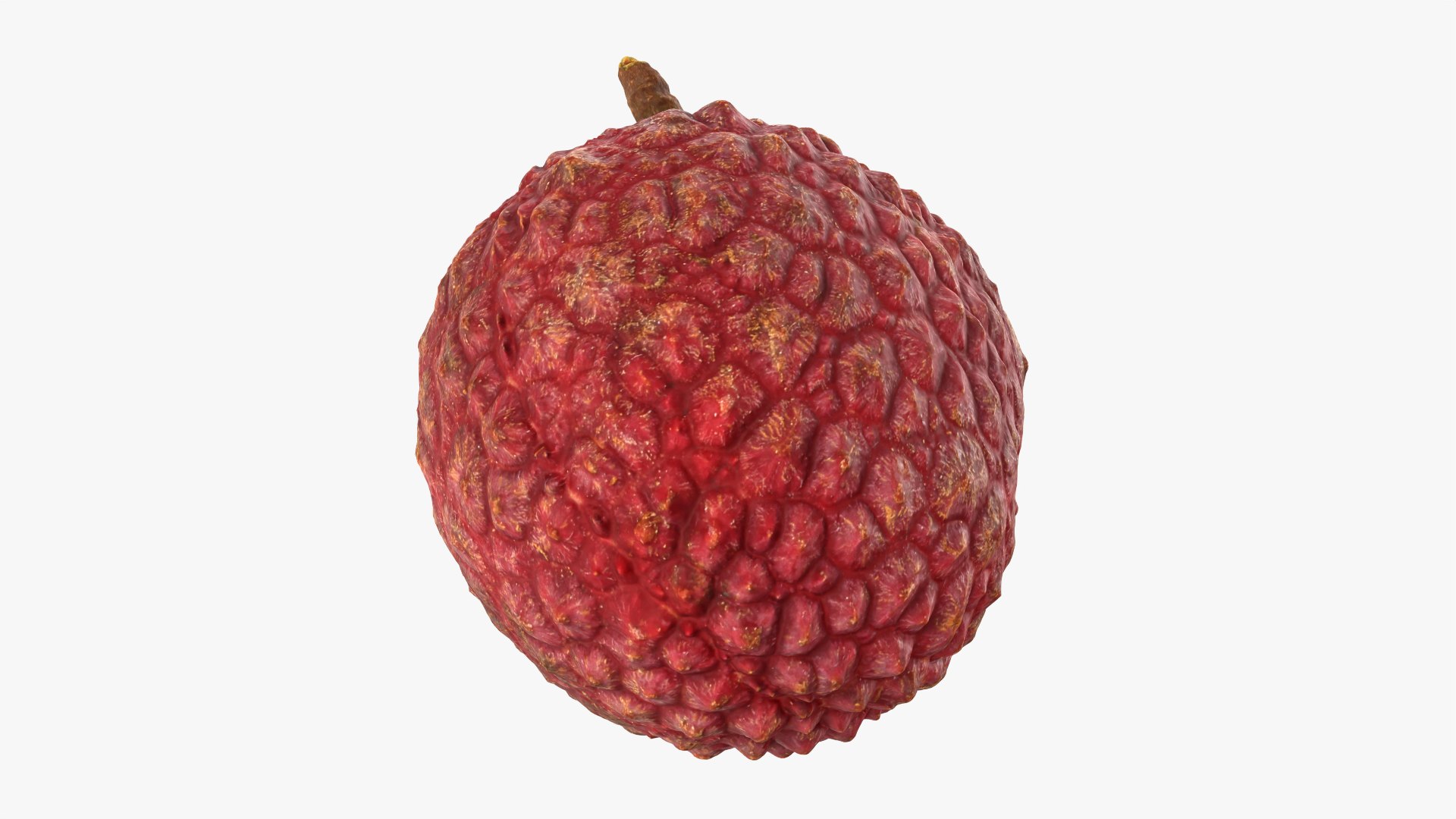 Lychee 01 3D model https://p.turbosquid.com/ts-thumb/Vg/MsmZ03/Tg/lychee01_0011/png/1759478622/1920x1080/fit_q87/e4ca21b9cbcbc68e51429305c9c9ccc6524d21e5/lychee01_0011.jpg
