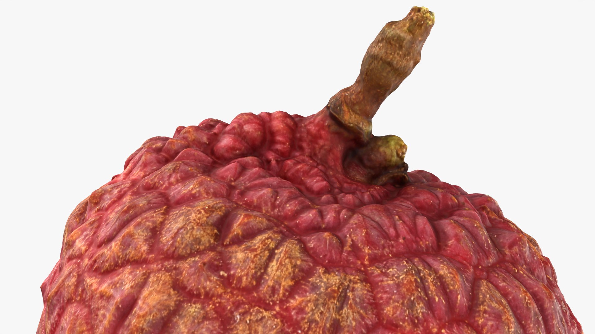 Lychee 01 3D model https://p.turbosquid.com/ts-thumb/Vg/MsmZ03/kS/lychee01_0012/png/1759478630/1920x1080/fit_q87/4a91dd951c8cad0dce998be3dff2a42cb3847848/lychee01_0012.jpg