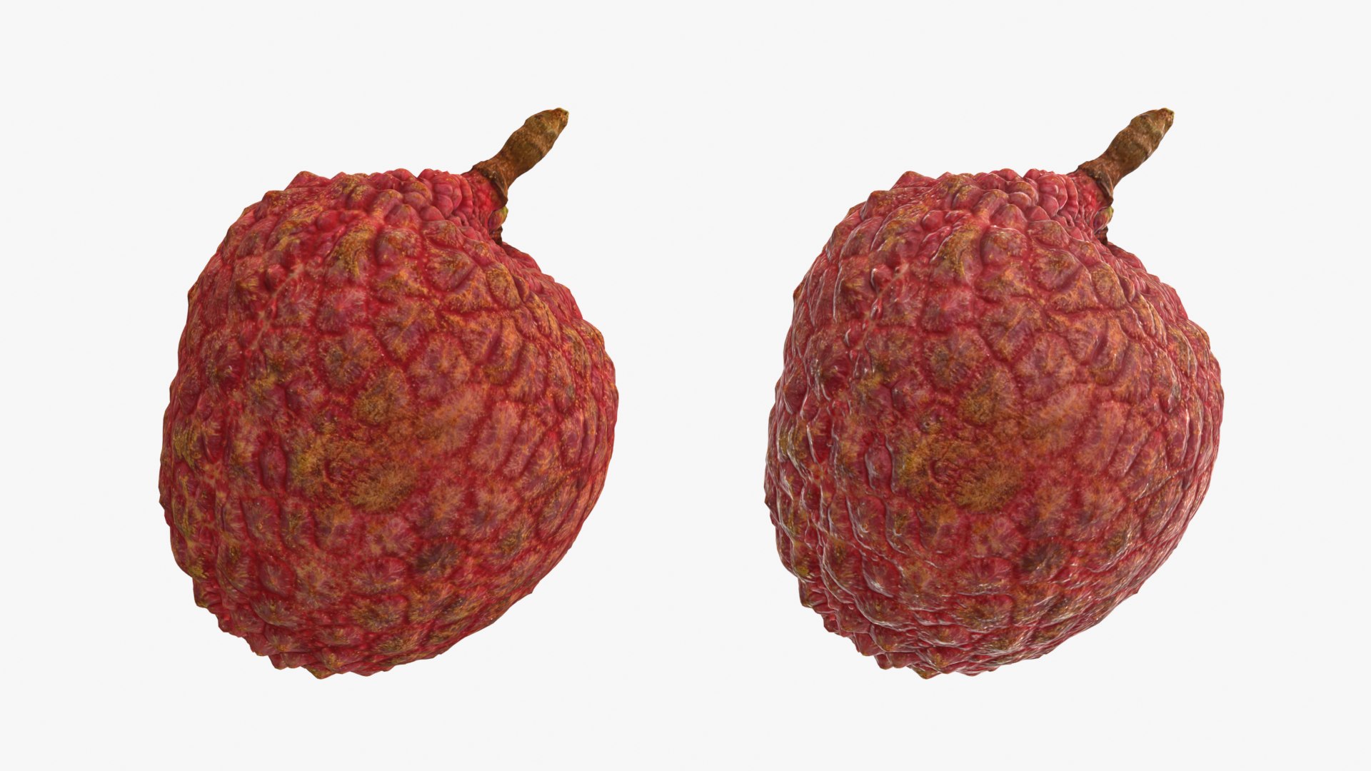 Lychee 01 3D model https://p.turbosquid.com/ts-thumb/Vg/MsmZ03/m0/lychee01_0001b/png/1759478602/1920x1080/fit_q87/86e040cd138ce74736d5357d5614116e8f6cac12/lychee01_0001b.jpg