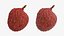 Lychee 01