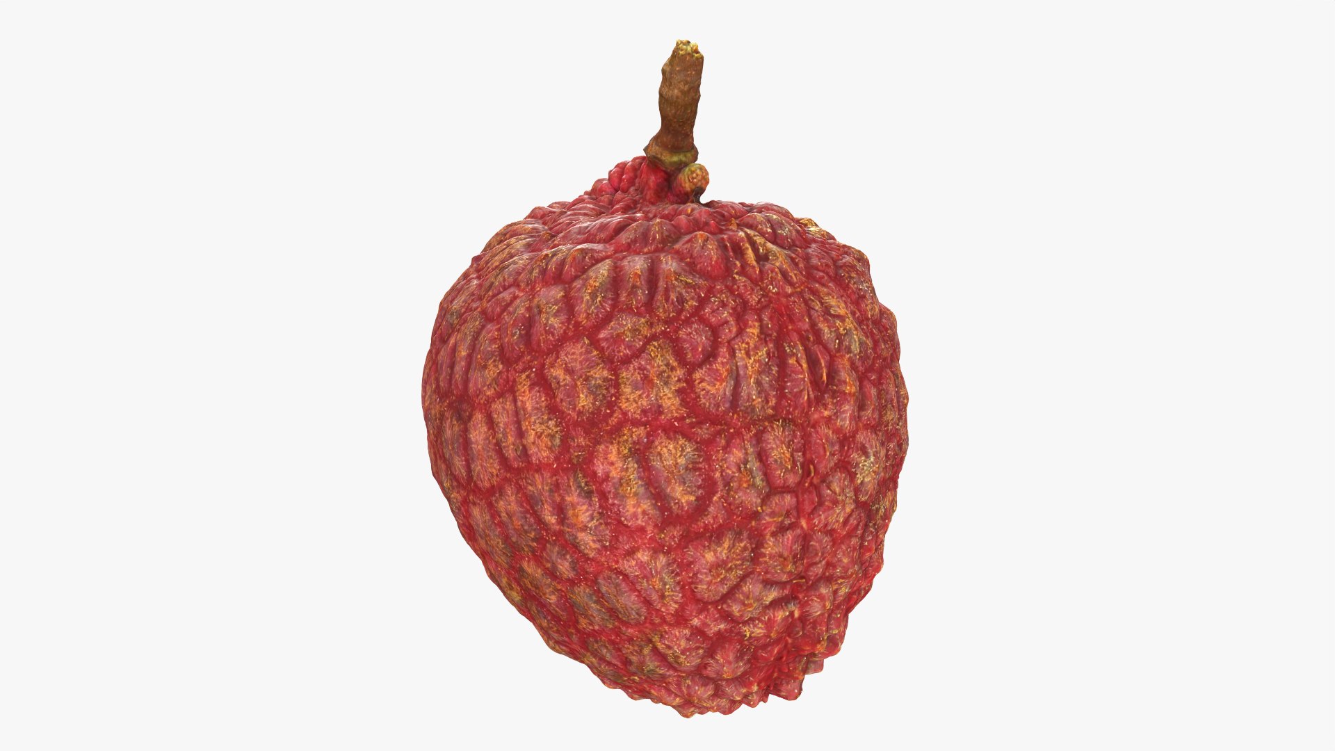 Lychee 01 3D model https://p.turbosquid.com/ts-thumb/Vg/MsmZ03/n1/lychee01_0007/png/1759478613/1920x1080/fit_q87/dee4cd5f5e6c1b074127cd1822051d28ebf6bc00/lychee01_0007.jpg