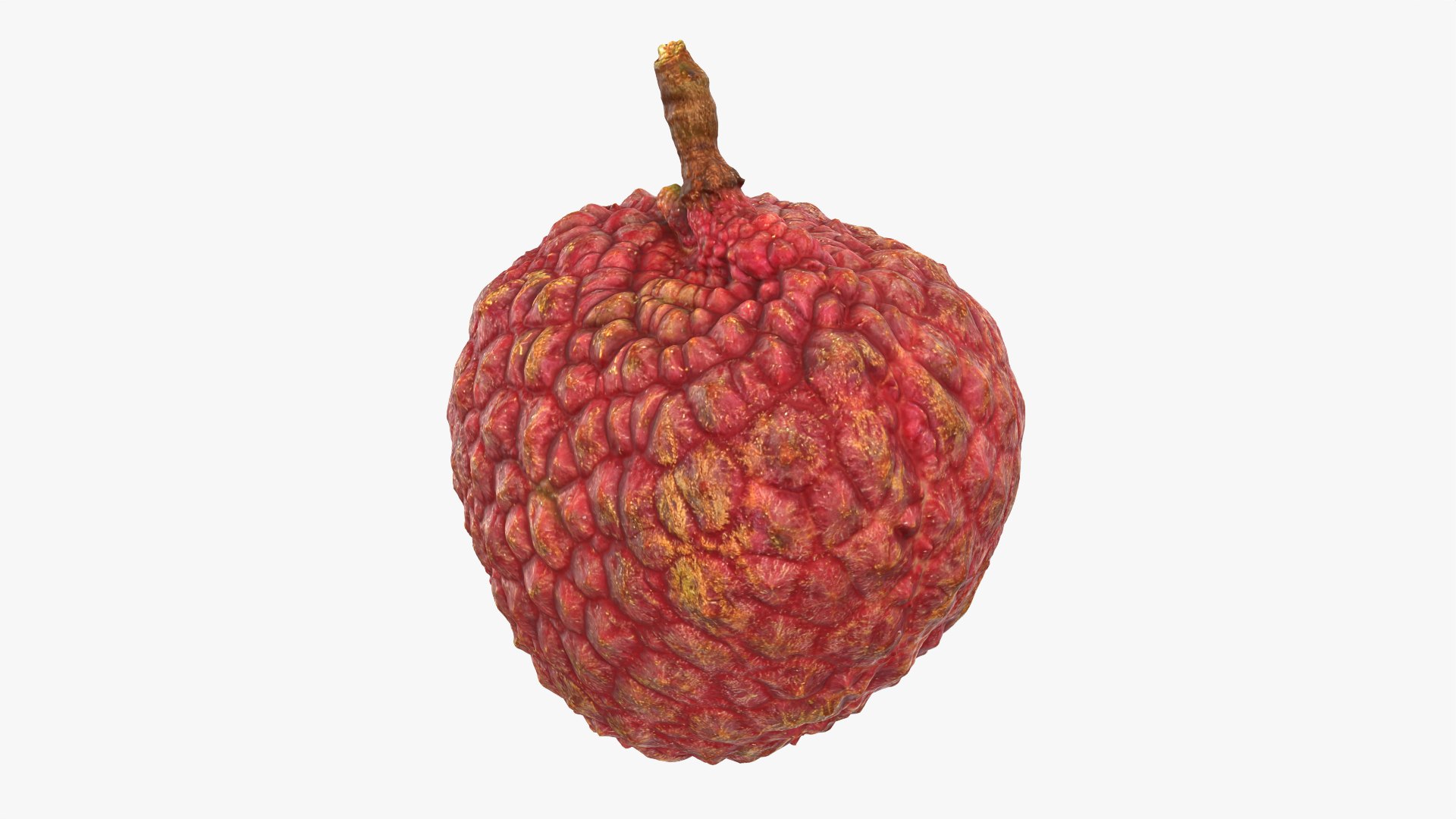 Lychee 01 3D model https://p.turbosquid.com/ts-thumb/Vg/MsmZ03/tb/lychee01_0005/png/1759478610/1920x1080/fit_q87/a016187d83ebac48d315891ba339affb6ef27523/lychee01_0005.jpg
