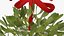Mistletoe v 2 with Red Bow 2 3D model