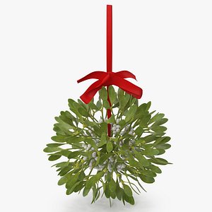Mistletoe v 2 with Red Bow 2
