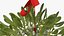 Mistletoe v 2 with Red Bow 2 3D model