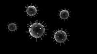 corona virus