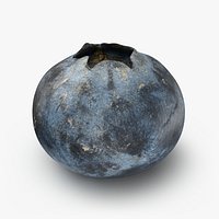 Blueberry 03 - 3D Scanned