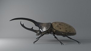 Hercules Beetle rigged for 3ds Max