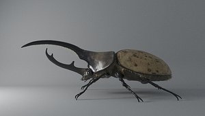 Hercules Beetle rigged for 3ds Max