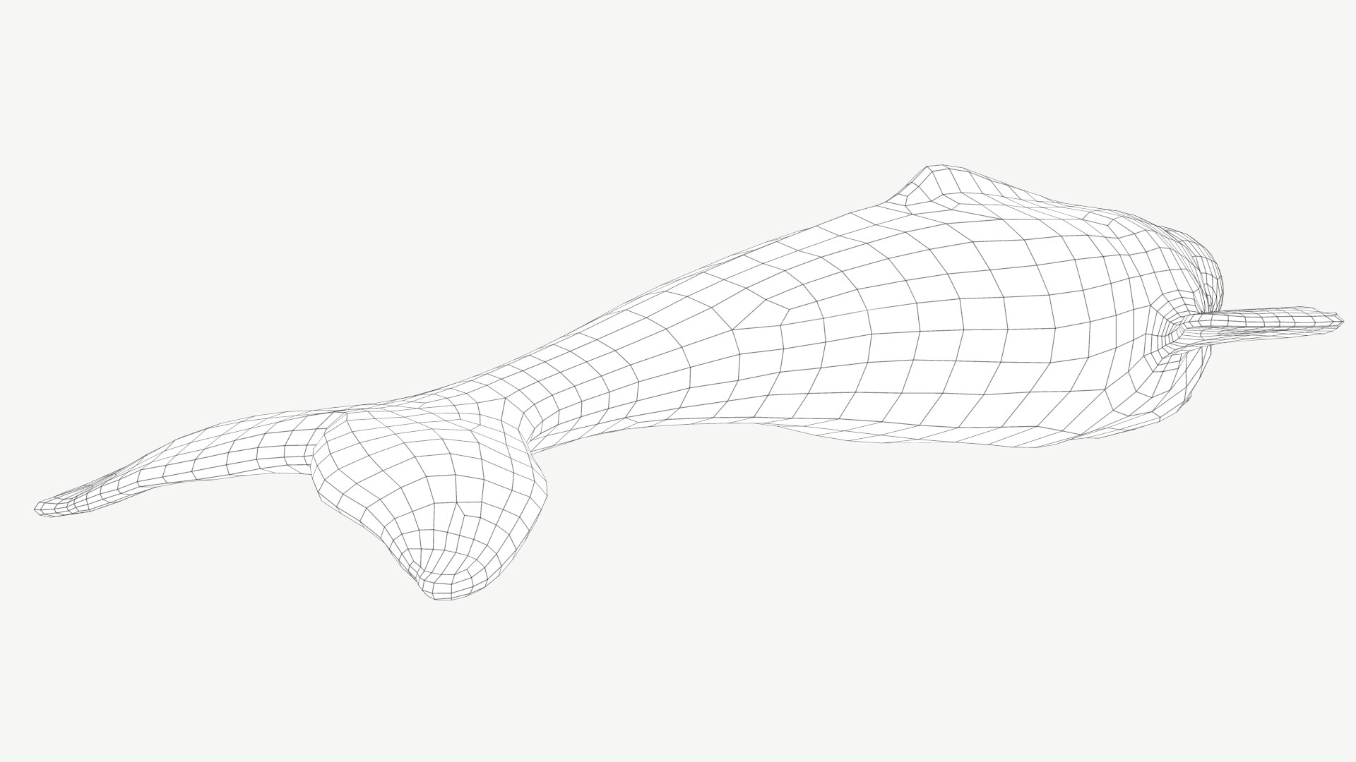 Beluga Whale 3D model https://p.turbosquid.com/ts-thumb/Vg/TsZKjB/oD/3a/png/1664602155/1920x1080/fit_q87/26ecdf6badd9b7c9578e836fb1e9ddffb84af2dd/3a.jpg