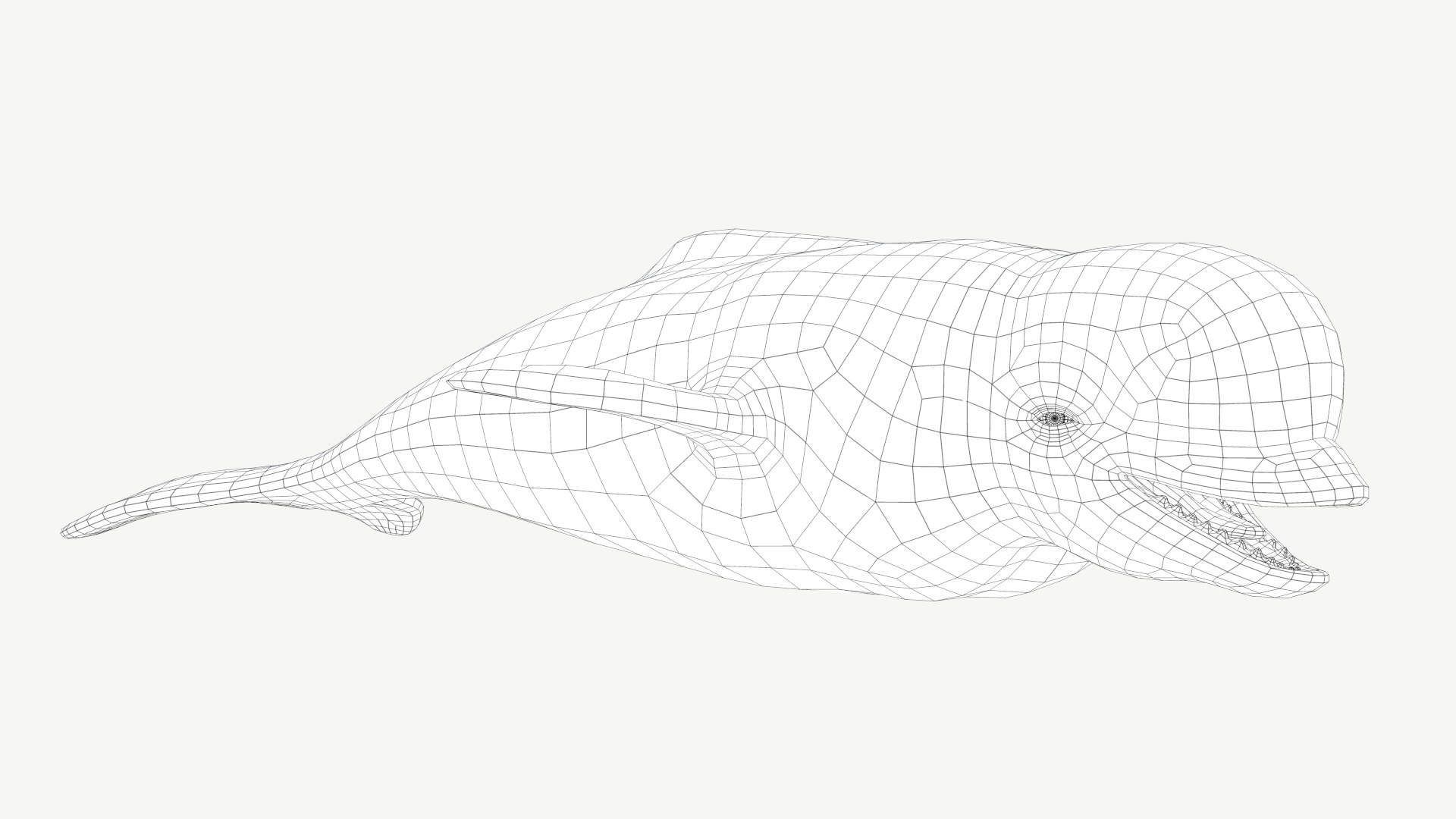 Beluga Whale 3D model https://p.turbosquid.com/ts-thumb/Vg/TsZKjB/wT/1a/png/1664602153/1920x1080/fit_q87/19eefdb30bb829b1bb4f8d9a147da4de7958401d/1a.jpg