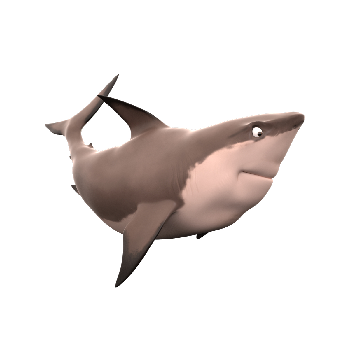 3D модель Белая акула мультяшка - TurboSquid 998759