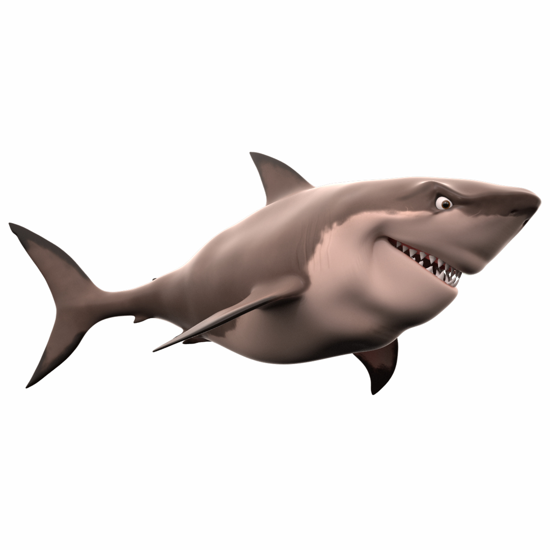 3D модель Белая акула мультяшка - TurboSquid 998759