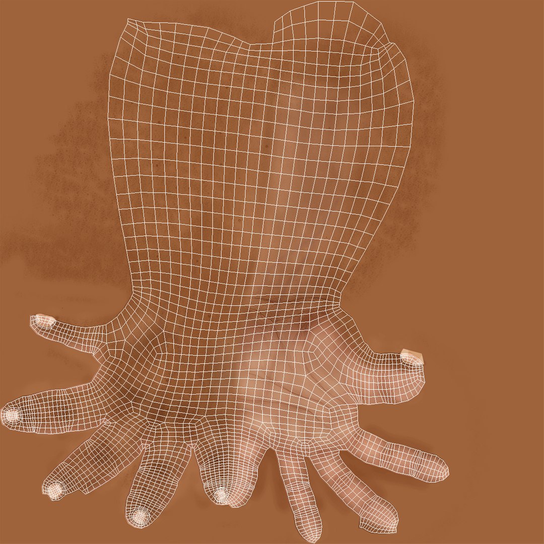 3d african man hands 2 https://p.turbosquid.com/ts-thumb/Vg/hSNcKr/2vh3AIVZ/africanmanhandsrigged3dsmaxvray3dmodel30/jpg/1468321042/1920x1080/fit_q87/d7ccf66dd43aaf1c4fff2e990af75dc0528c0228/africanmanhandsrigged3dsmaxvray3dmodel30.jpg
