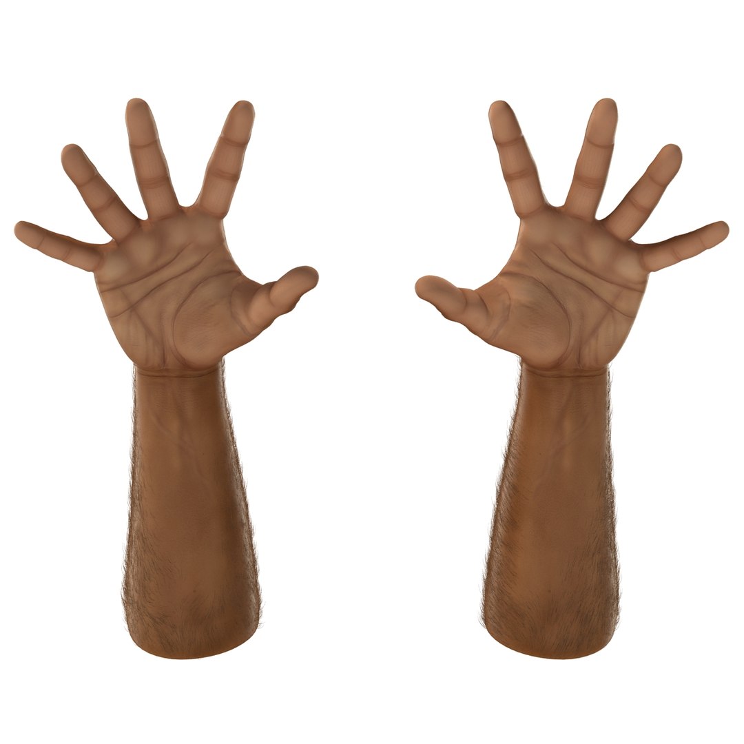 3d african man hands 2 https://p.turbosquid.com/ts-thumb/Vg/hSNcKr/6G38TtSS/africanmanhandsrigged3dsmaxvray3dmodel13/jpg/1468321042/1920x1080/fit_q87/92529cecaab3d5a35646472a27bc1159d43389ff/africanmanhandsrigged3dsmaxvray3dmodel13.jpg