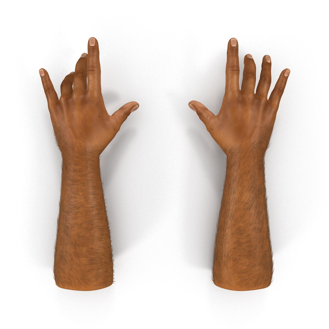 3d african man hands 2 https://p.turbosquid.com/ts-thumb/Vg/hSNcKr/9l5n3dOZ/africanmanhandsrigged3dsmaxvray3dmodel03/jpg/1468321041/1920x1080/fit_q87/82b25c21ea1bc5ef1fe193dfc19174198616dcc2/africanmanhandsrigged3dsmaxvray3dmodel03.jpg