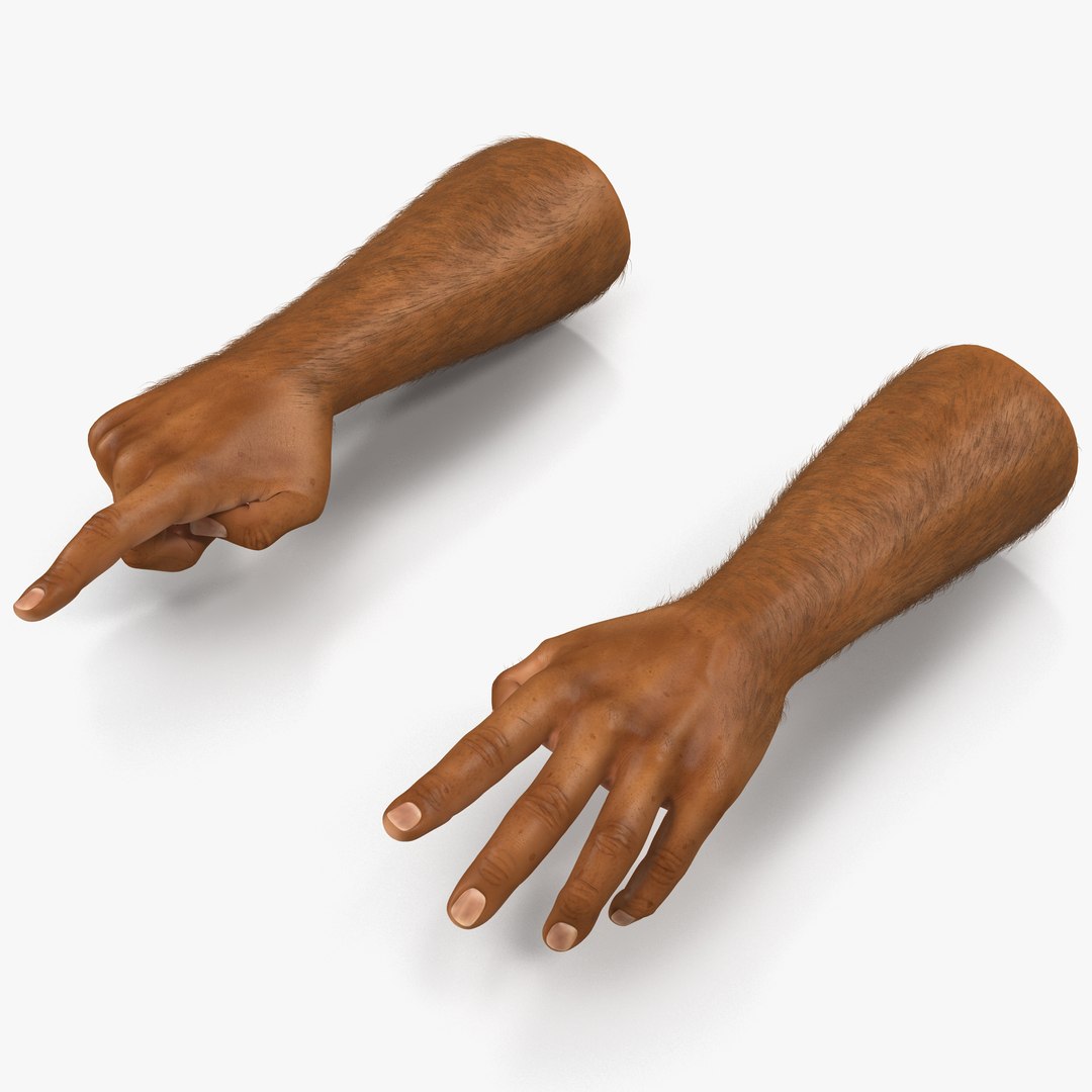African Man Hands 2 with Fur Rigged 3D Model preview