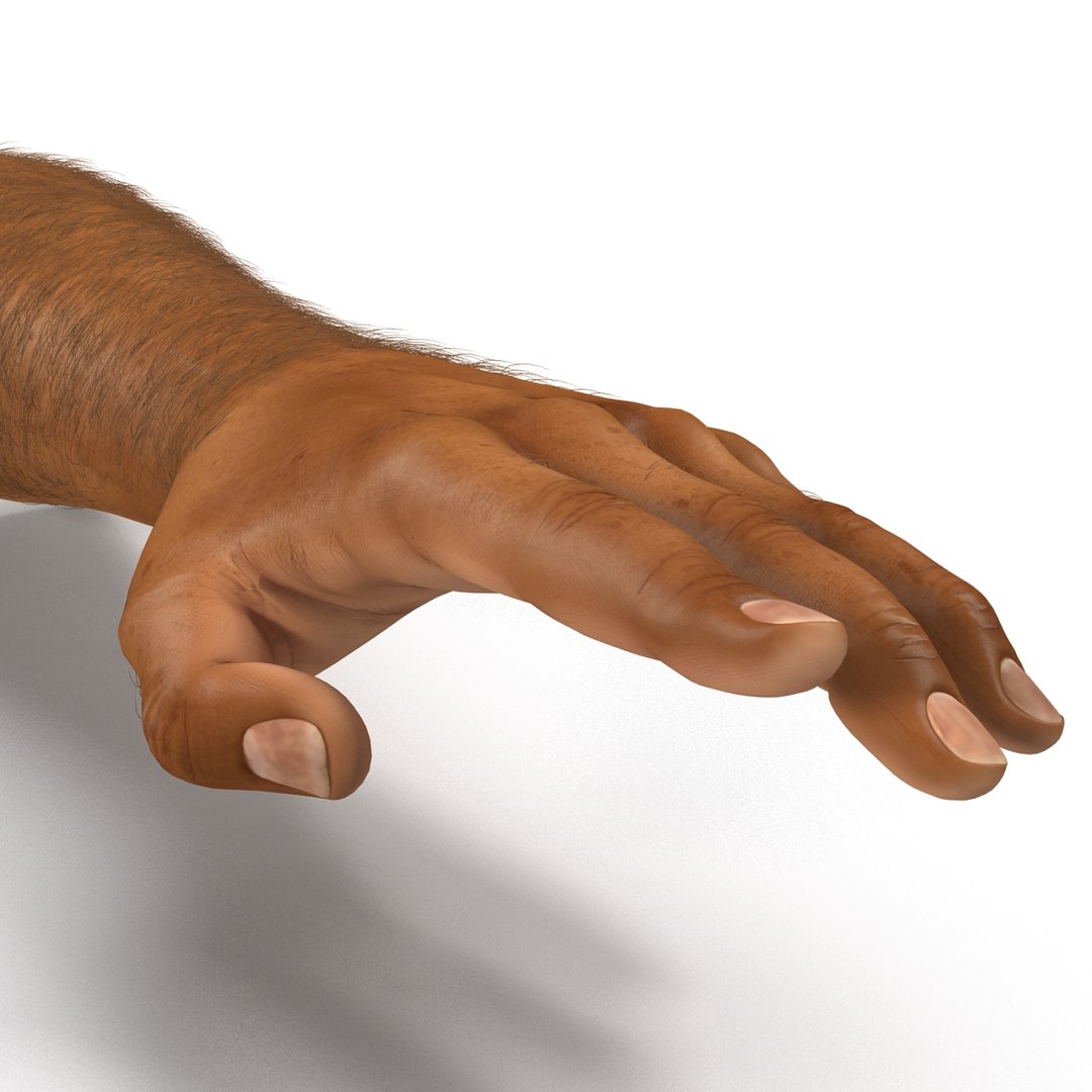 3d african man hands 2 https://p.turbosquid.com/ts-thumb/Vg/hSNcKr/F6gySz1q/africanmanhandsrigged3dsmaxvray3dmodel21/jpg/1468321042/1920x1080/fit_q87/803388a401d408c7183413f90767750f562a1c14/africanmanhandsrigged3dsmaxvray3dmodel21.jpg