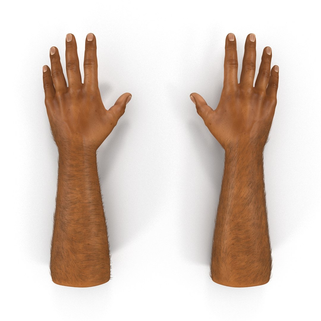 3d african man hands 2 https://p.turbosquid.com/ts-thumb/Vg/hSNcKr/Q8cwgkIV/africanmanhandsrigged3dsmaxvray3dmodel02/jpg/1468321041/1920x1080/fit_q87/c1cdf7b5061f09deb8d3b9680dd73e07416ba169/africanmanhandsrigged3dsmaxvray3dmodel02.jpg