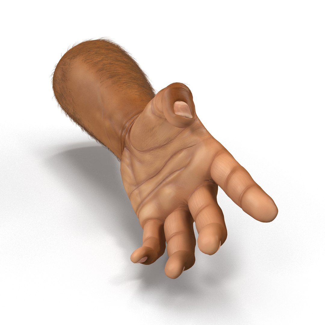 3d african man hands 2 https://p.turbosquid.com/ts-thumb/Vg/hSNcKr/RDPQUCIf/africanmanhandsrigged3dsmaxvray3dmodel16/jpg/1468321042/1920x1080/fit_q87/f42975b108a8abe78ec38389fa0ef924fffca295/africanmanhandsrigged3dsmaxvray3dmodel16.jpg