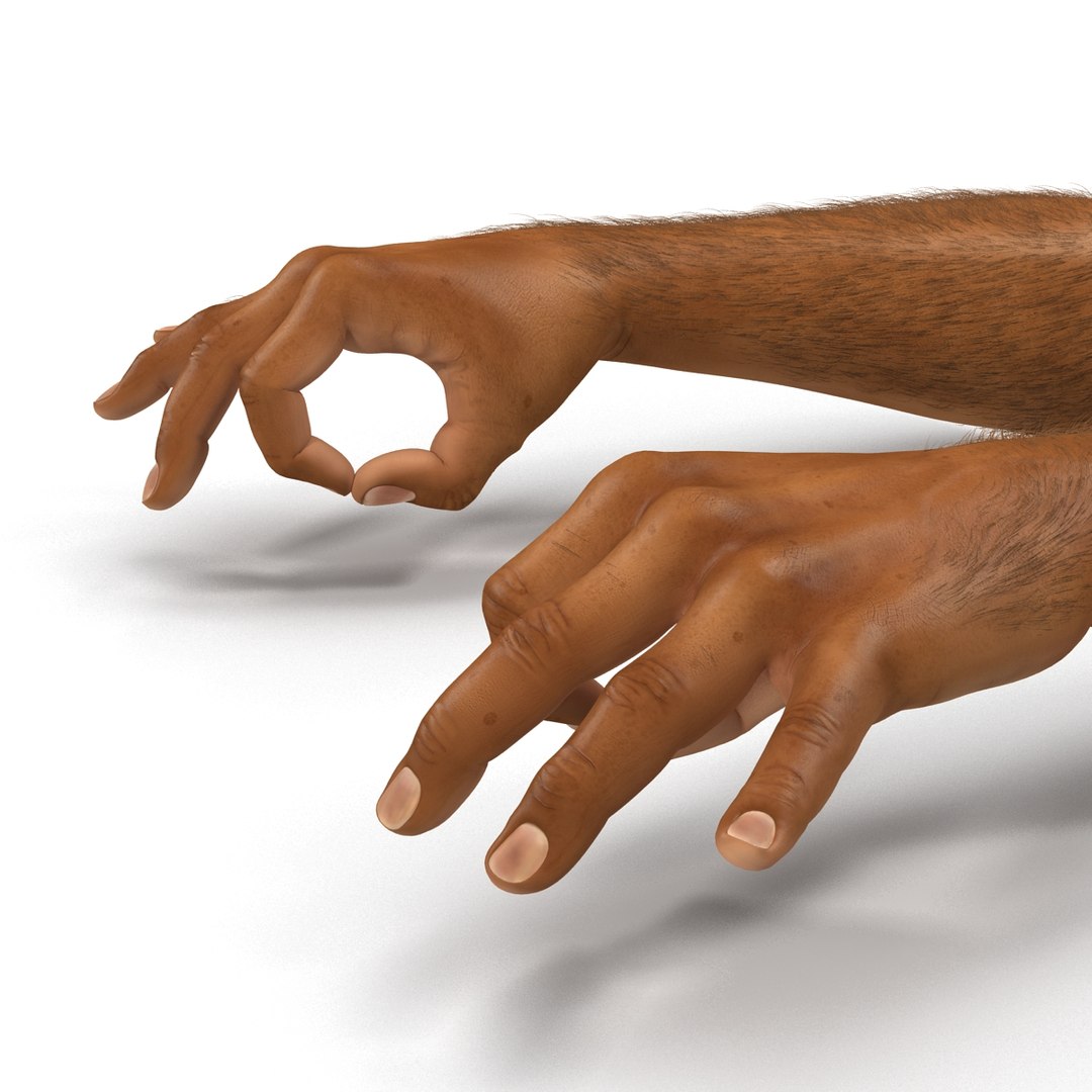 3d african man hands 2 https://p.turbosquid.com/ts-thumb/Vg/hSNcKr/TaXxn2r9/africanmanhandsrigged3dsmaxvray3dmodel25/jpg/1468321042/1920x1080/fit_q87/0795fbf622745f4269b44ec243f2b4571d579ff8/africanmanhandsrigged3dsmaxvray3dmodel25.jpg