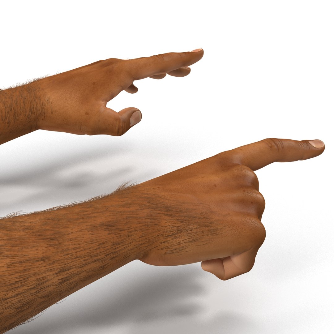 3d african man hands 2 https://p.turbosquid.com/ts-thumb/Vg/hSNcKr/leHnxdJt/africanmanhandsrigged3dsmaxvray3dmodel19/jpg/1468321042/1920x1080/fit_q87/358afeb1af2ecc69dace172a9605070f739ffbbd/africanmanhandsrigged3dsmaxvray3dmodel19.jpg