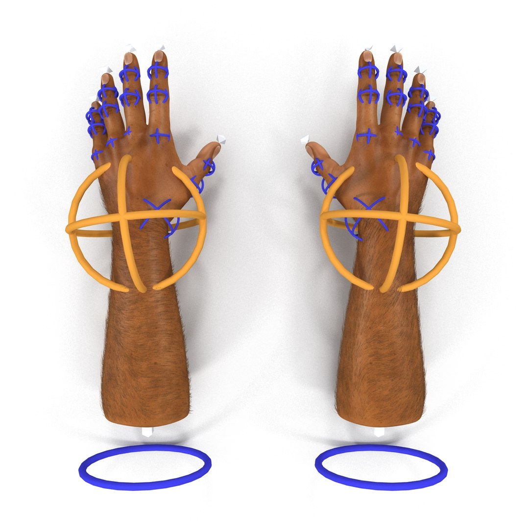 3d african man hands 2 https://p.turbosquid.com/ts-thumb/Vg/hSNcKr/zCp2CZit/africanmanhandsrigged3dsmaxvray3dmodel26/jpg/1468321042/1920x1080/fit_q87/e7986b99a623f399956d4ad7d70f32df5eeecfdb/africanmanhandsrigged3dsmaxvray3dmodel26.jpg