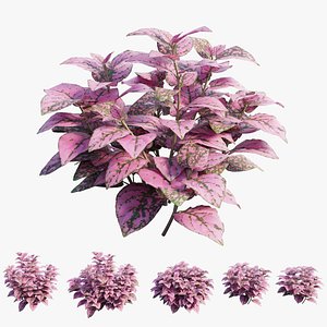 pink polka dot plant model