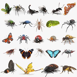 Insects Big Collection Rigged for Cinema 4D