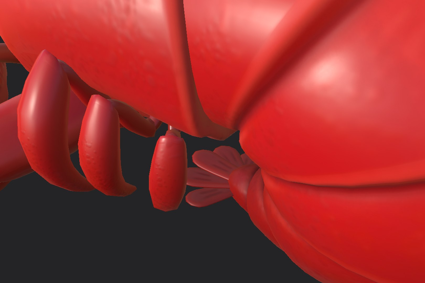 3D model lobster cartoon https://p.turbosquid.com/ts-thumb/Vh/EV5b6o/MCYbhlH1/24/jpg/1557031616/1920x1080/fit_q87/343101f5f76642b21e2f20cdb22d1884115e3128/24.jpg