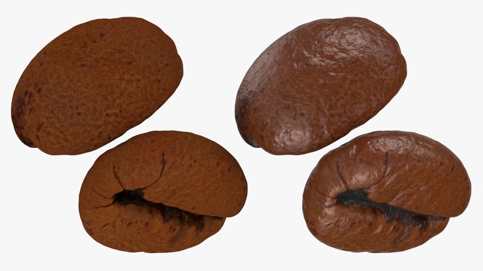3D Coffee Beans 02 model https://p.turbosquid.com/ts-thumb/Vh/Hk0tG5/Vh/coffeebean02_b0026/jpg/1725707184/1920x1080/fit_q87/3e1a4f7aa2914714aa1bcf84ef779cf36d98805f/coffeebean02_b0026.jpg
