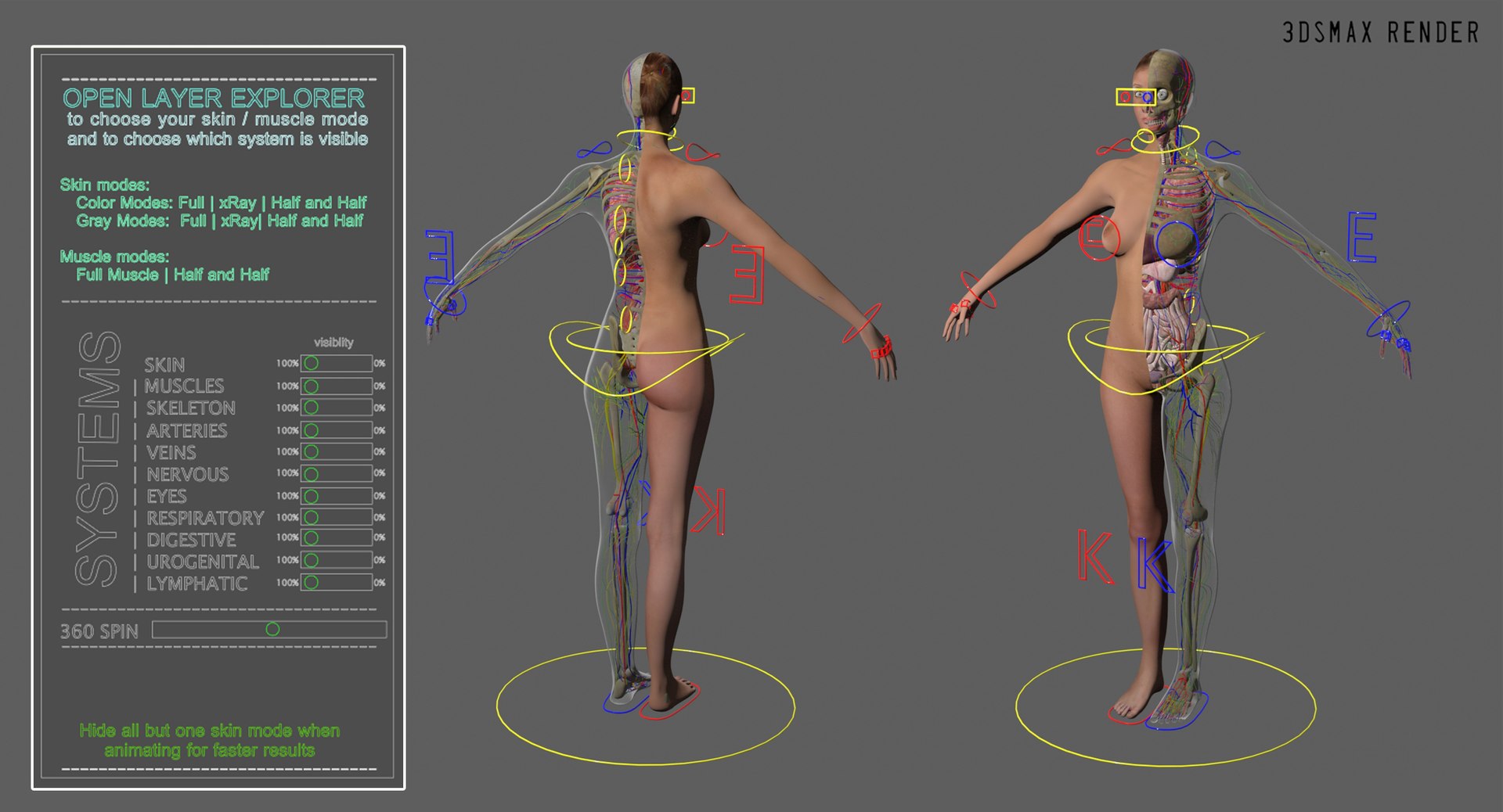 3d ma ultimate complete rigged female https://p.turbosquid.com/ts-thumb/Vh/MdUt5N/Gzg4Ixo9/max_007/jpg/1566165678/1920x1080/fit_q87/944255d1ce3d14d9d3a36ab6600b23ecb746a030/max_007.jpg
