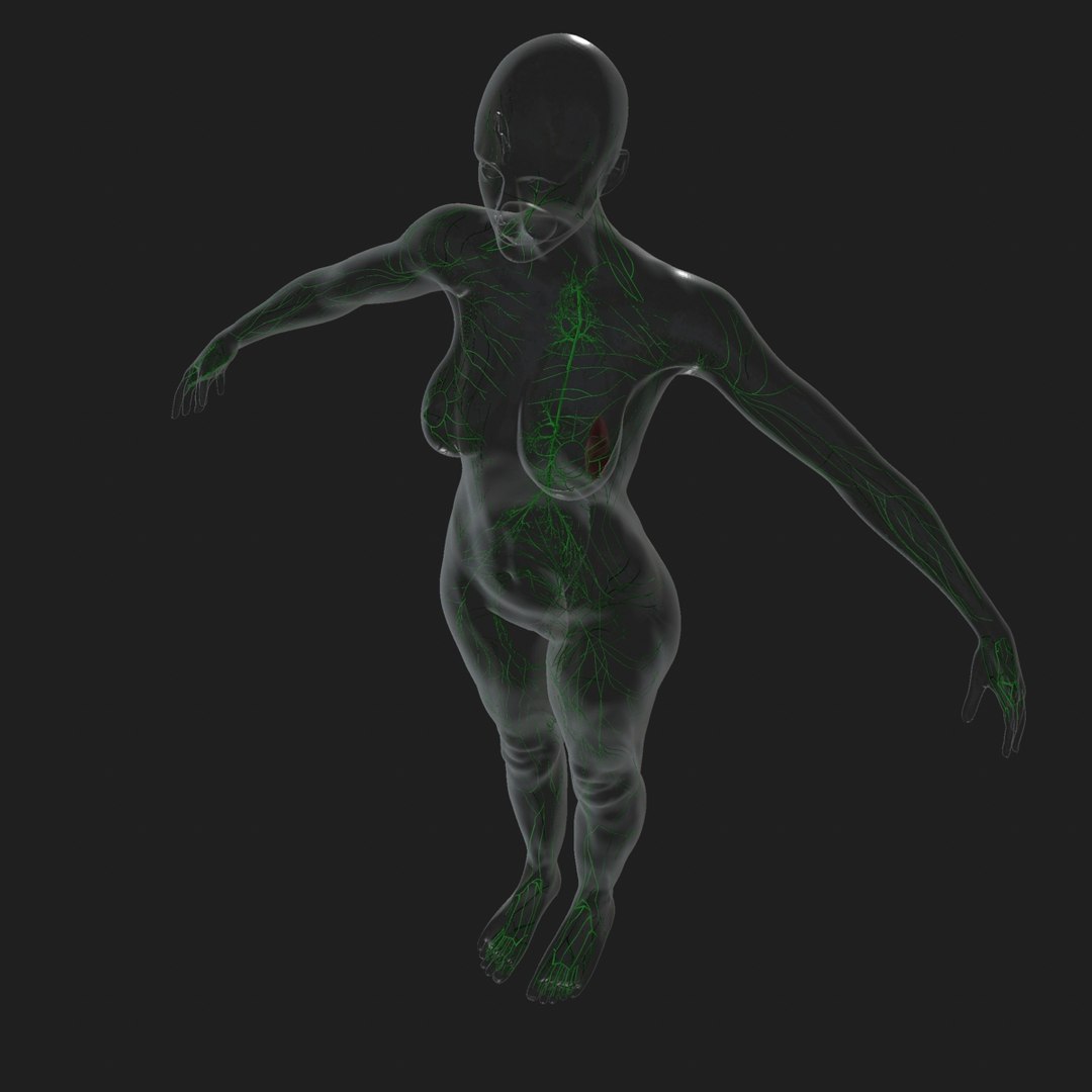 3d ma ultimate complete rigged female https://p.turbosquid.com/ts-thumb/Vh/MdUt5N/SMmh1PXZ/003/jpg/1462907034/1920x1080/fit_q87/bd681027d481a3e5fad1659c7e2b368ba465edba/003.jpg
