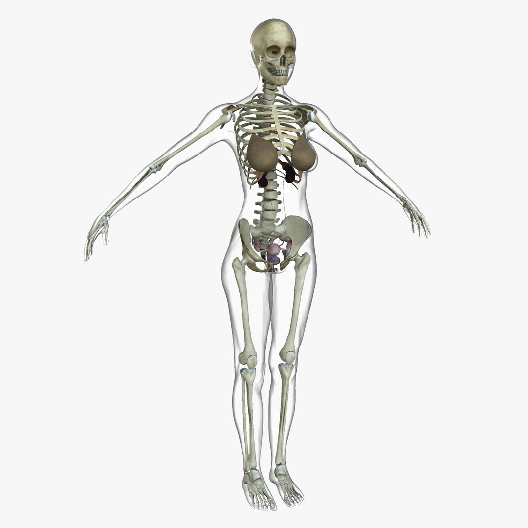 3d ma ultimate complete rigged female https://p.turbosquid.com/ts-thumb/Vh/MdUt5N/YqdJHAwo/02/jpg/1462905430/1920x1080/fit_q87/3e190883f1cae0a91fd75dc411a9a0bb56a7e41d/02.jpg