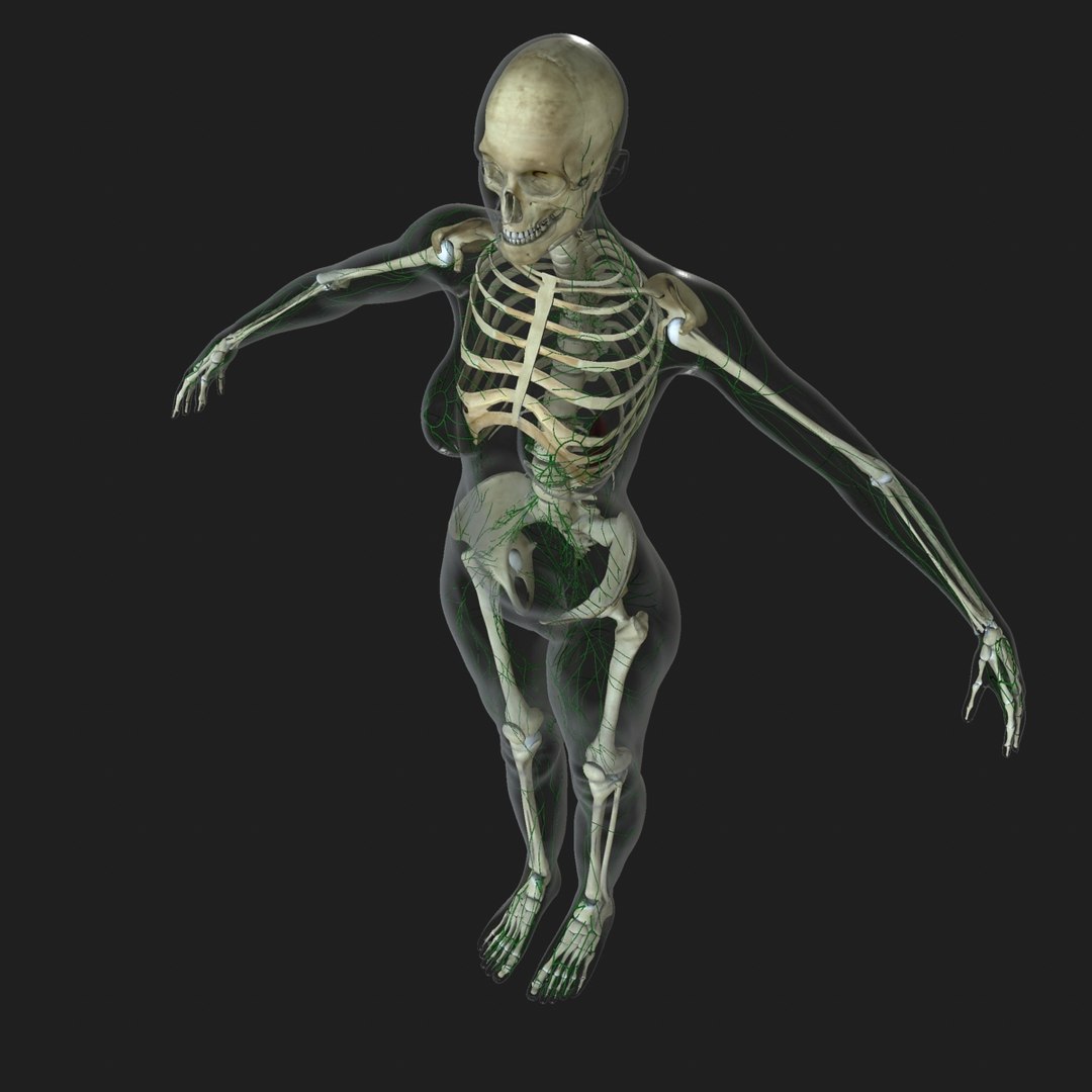 3d ma ultimate complete rigged female https://p.turbosquid.com/ts-thumb/Vh/MdUt5N/eYzwN25O/002/jpg/1462907065/1920x1080/fit_q87/38a2a35f167c23dac5f33955bb86fe1915335fb6/002.jpg