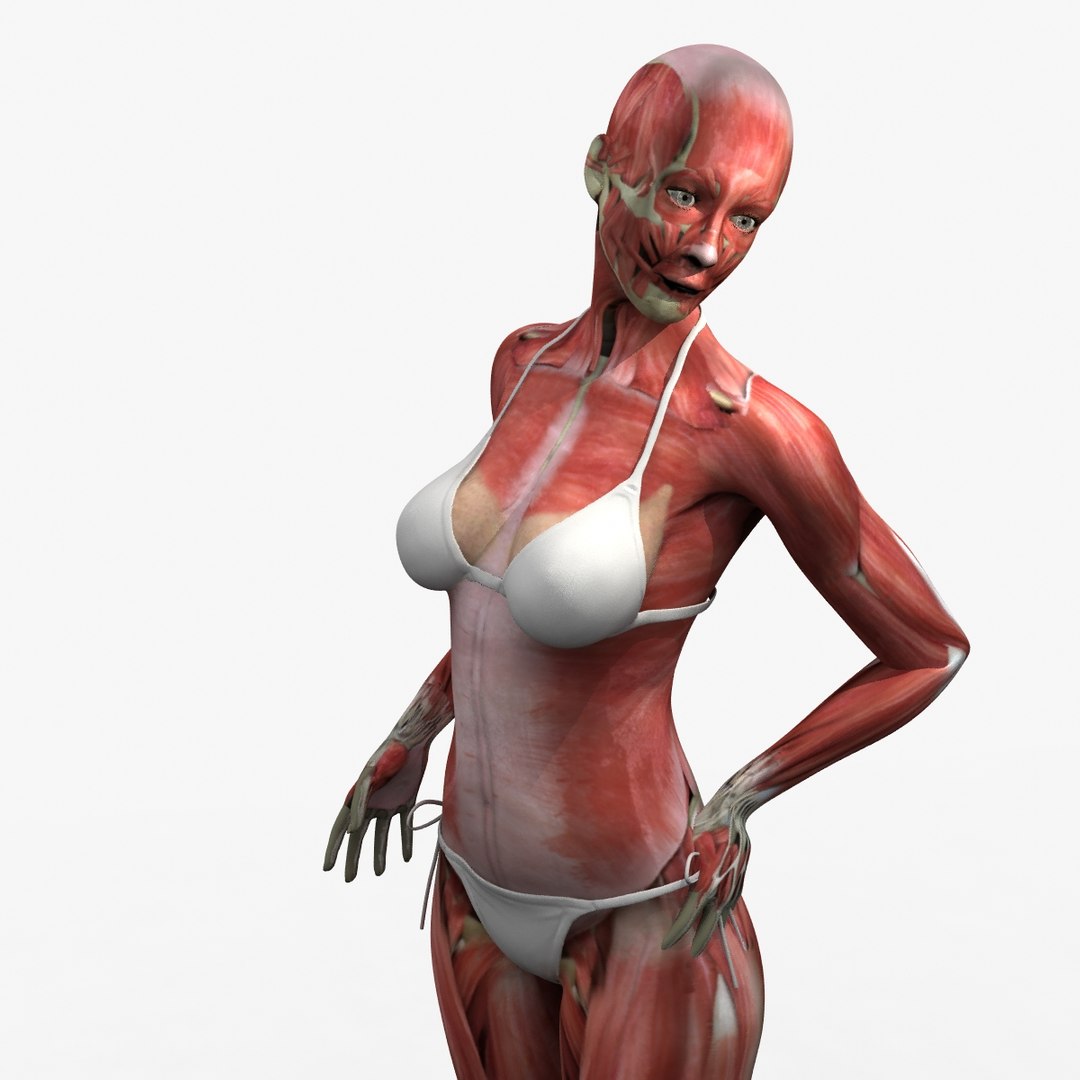 3d ma ultimate complete rigged female https://p.turbosquid.com/ts-thumb/Vh/MdUt5N/fVmx1qFF/014/jpg/1462928457/1920x1080/fit_q87/65d821d629e1a38046aaa1007911fe748f0b13b5/014.jpg